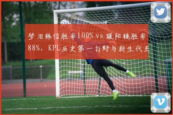 梦泪韩信胜率100% vs 暖阳镜胜率88%，KPL历史第一打野与新生代王者巅峰对话